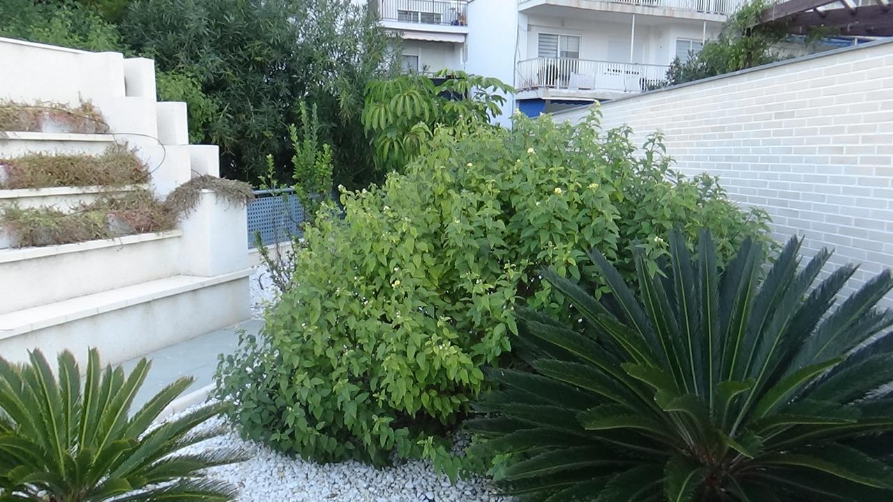 Aпартаменты В San Juan Playa Alicante Kültér fotó